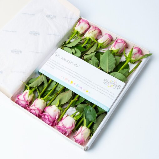 Brievenbus Rozen paars (10 stuks)